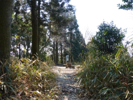 画像9